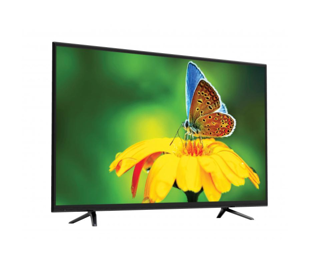 Manta 48LED4801 - 1449984 - zdjęcie 3